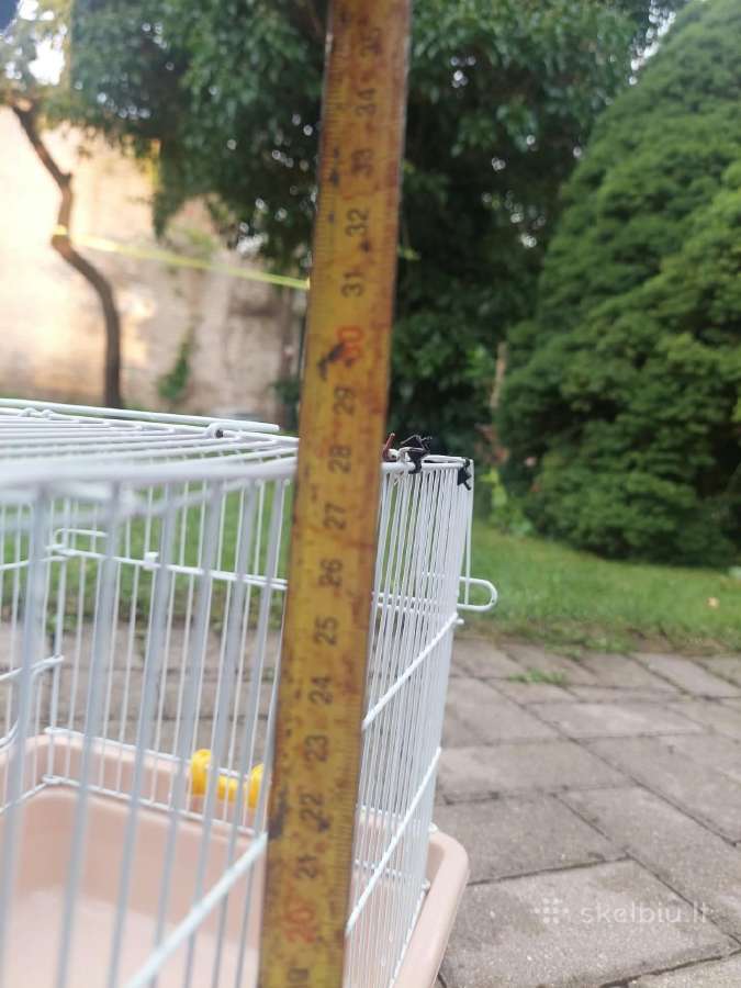 Narvelis žiurkėnui/ jūrų kiaulytei su priedais - nuotraukos Nr. 5