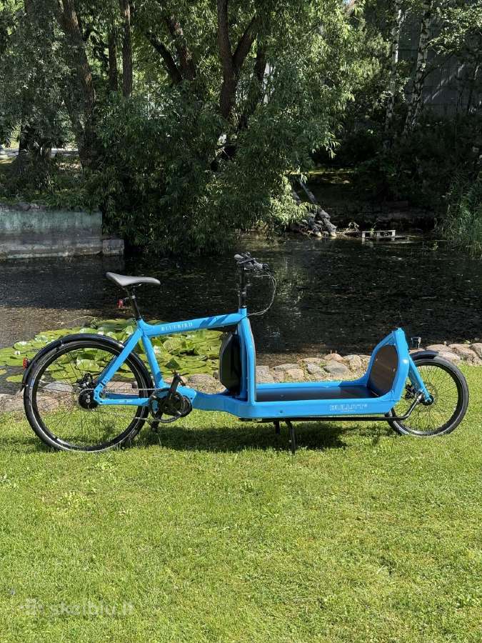 Larryvsharry Ebullitt 6100 - nuotraukos Nr. 7