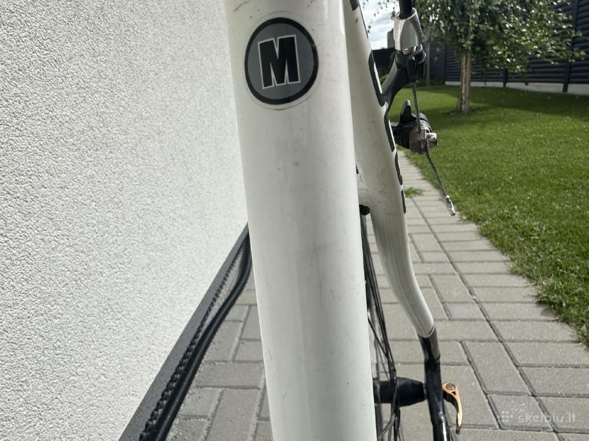 Focus Arriba 2.0 – Shimano Sora, M dydis, - nuotraukos Nr. 2