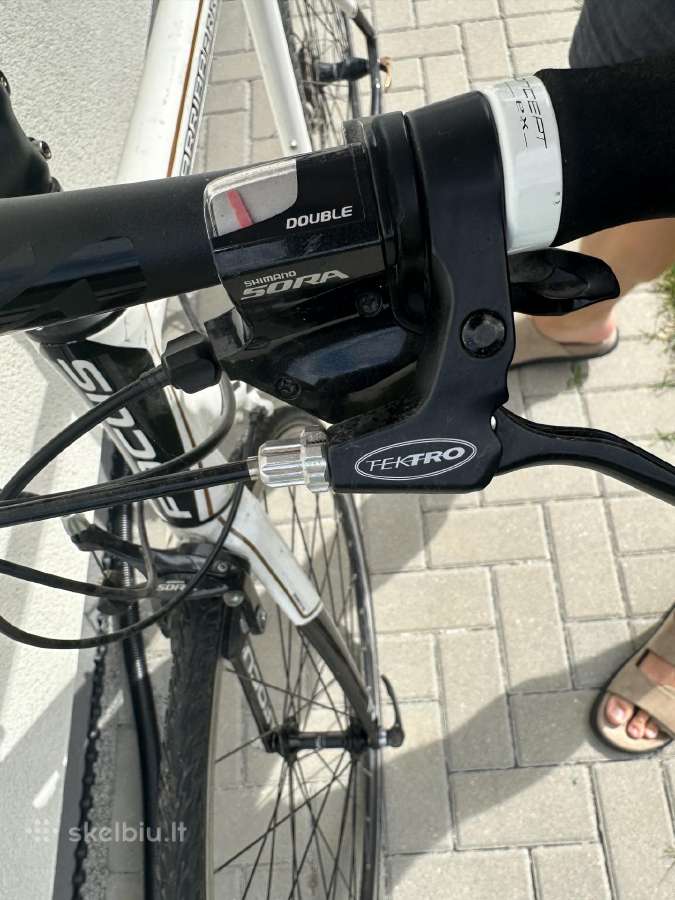 Focus Arriba 2.0 – Shimano Sora, M dydis, - nuotraukos Nr. 3