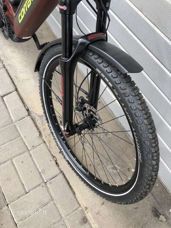 Coratec - nuotraukos Nr. 4