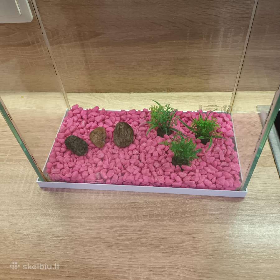 Akvariumas aquael 12 L su dangciu ir padu. - nuotraukos Nr. 2