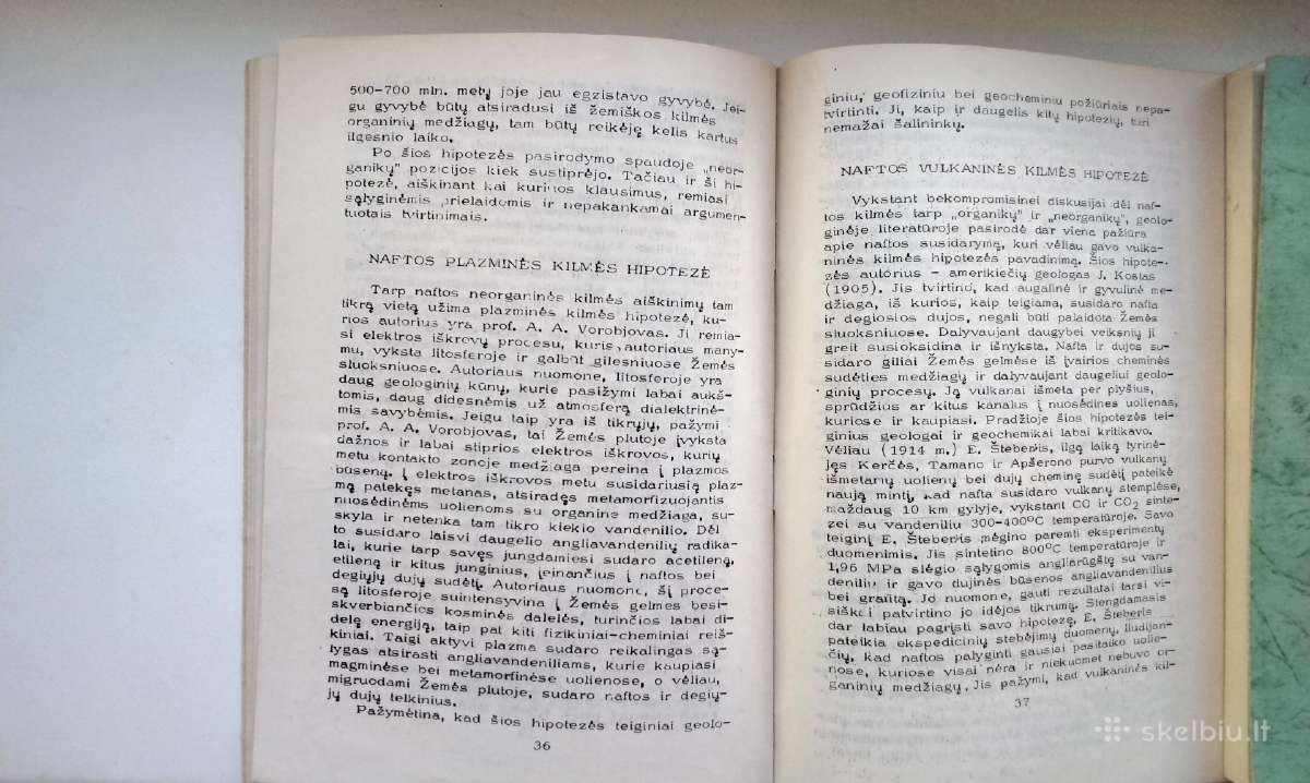 Naudingųjų iškasenų telkinių susidarymo geologinia - nuotraukos Nr. 21