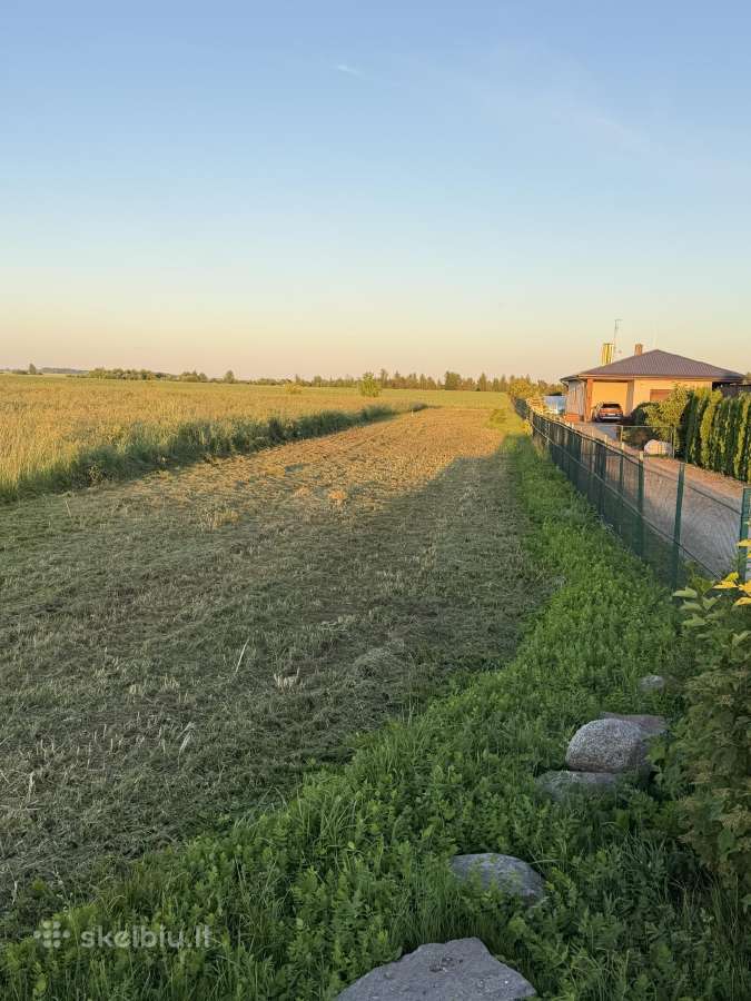 Mulčeris ,padagas - nuotraukos Nr. 2