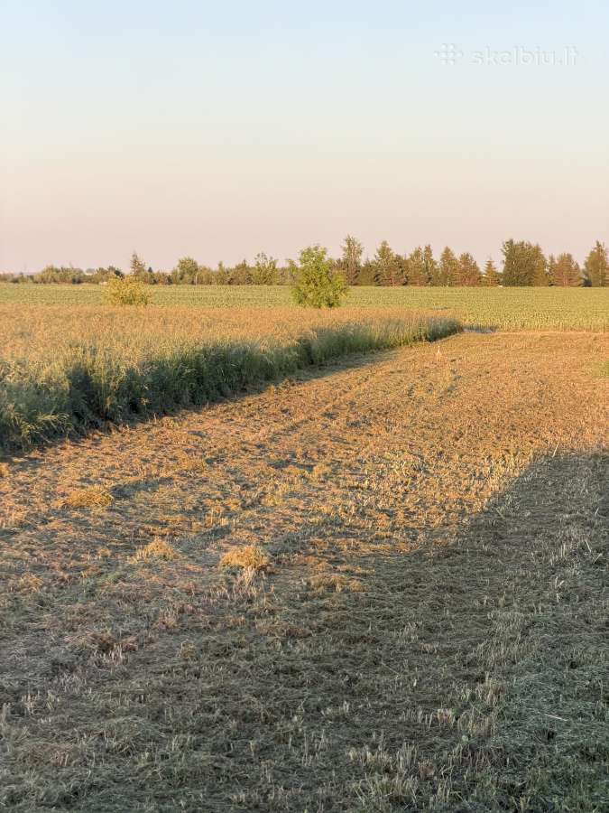 Mulčeris ,padagas - nuotraukos Nr. 6