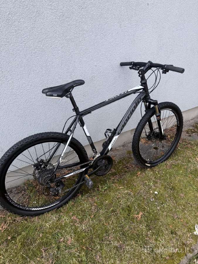 MTB dviratis L - nuotraukos Nr. 2