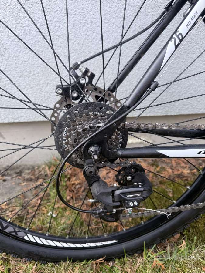 MTB dviratis L - nuotraukos Nr. 4