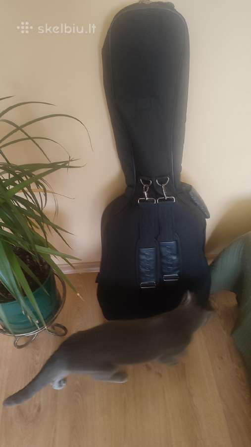 Gitara Hohner Hw300 akustinė su Proel dėklu - nuotraukos Nr. 5