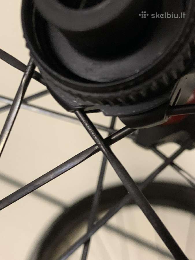 Light Bicycle Falcon Pro Ar465 DT Swiss 240 - nuotraukos Nr. 7