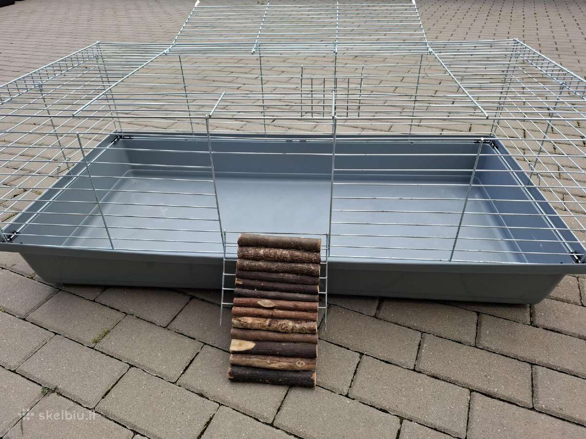 Pilnas kokybiskas rinkinys grauzikui - nuotraukos Nr. 2