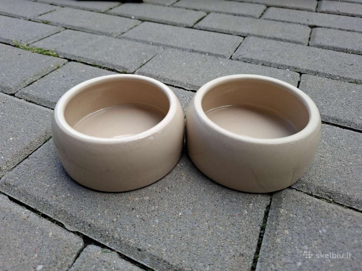 Pilnas kokybiskas rinkinys grauzikui - nuotraukos Nr. 5