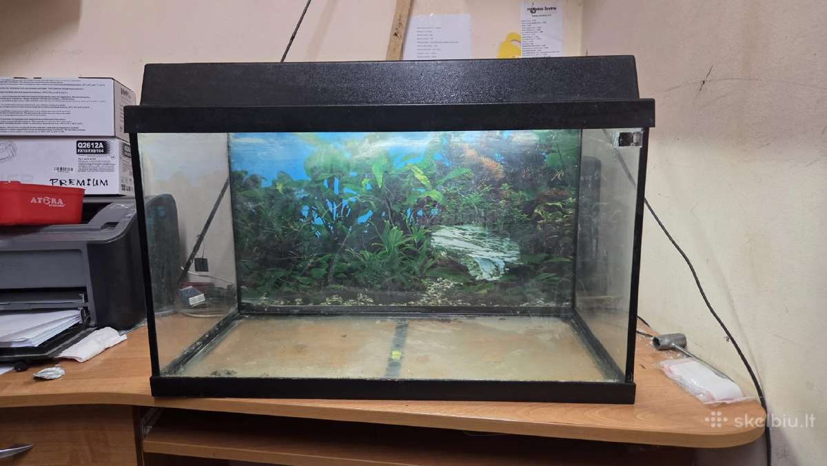 Juwel akvariumas - nuotraukos Nr. 2
