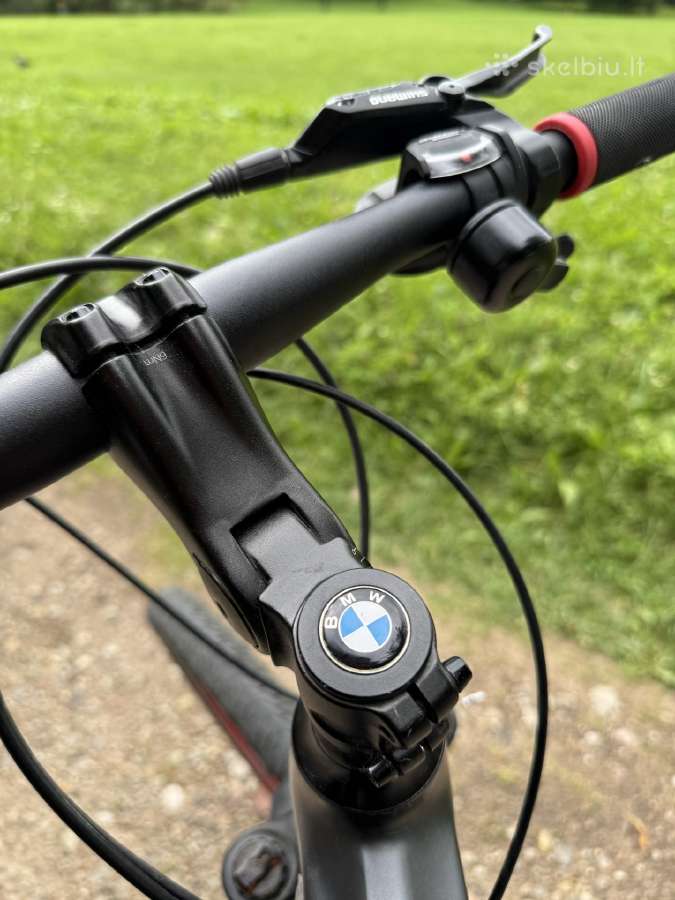 Dviratis Bmw Cruise M Limited Edition - nuotraukos Nr. 3