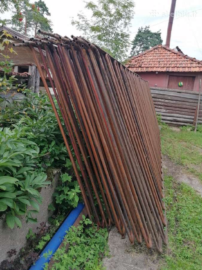 Parduodu vamzdžių gyvatukus - nuotraukos Nr. 3