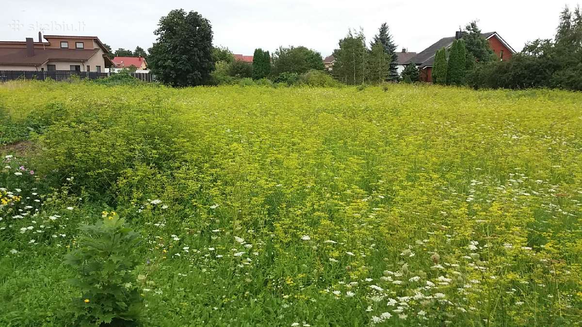 Namų valdos sklypas Ketvergiuose - nuotraukos Nr. 4