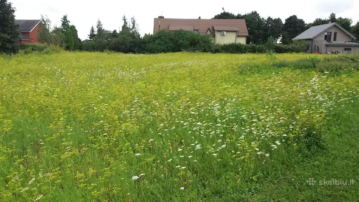 Namų valdos sklypas Ketvergiuose - nuotraukos Nr. 6