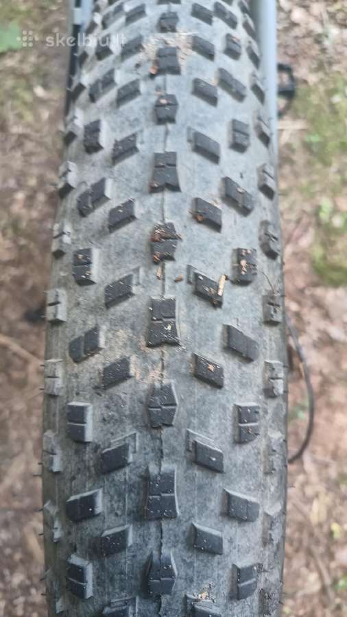 Fat bike louke - nuotraukos Nr. 2