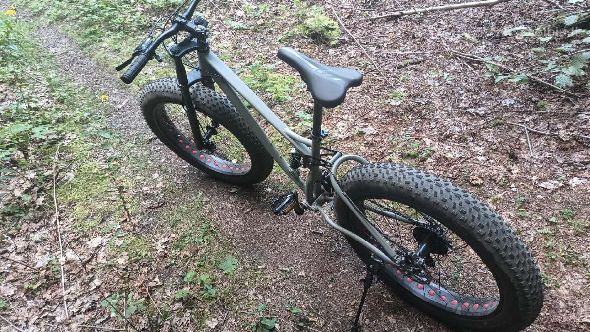 Fat bike louke - nuotraukos Nr. 4