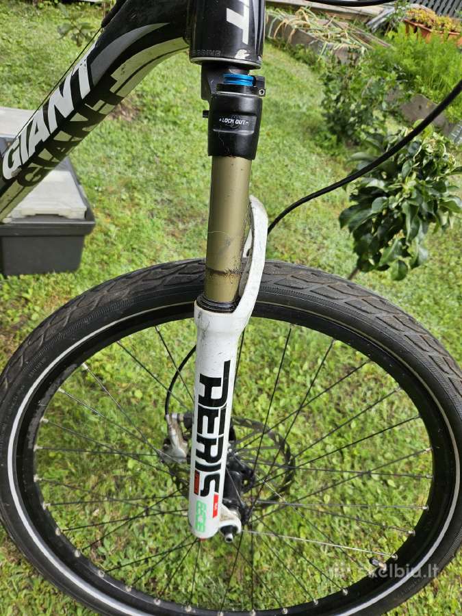 Dviratis Giant 26" - nuotraukos Nr. 3