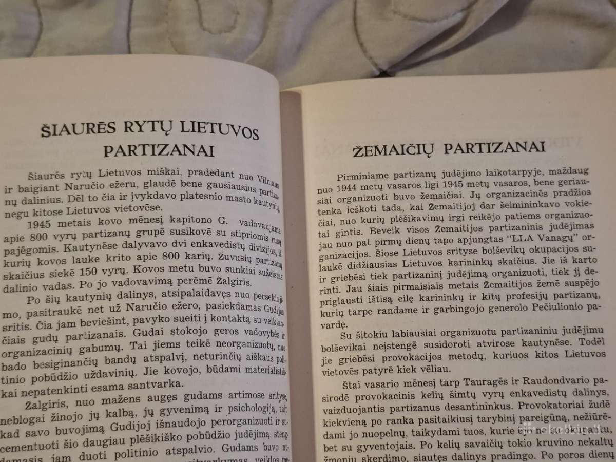 Partizanai - nuotraukos Nr. 11