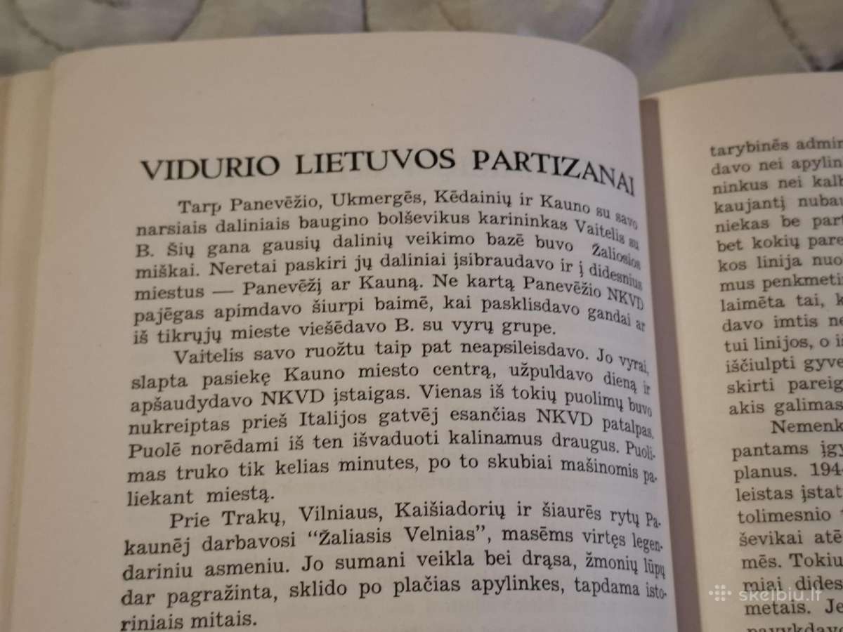 Partizanai - nuotraukos Nr. 12