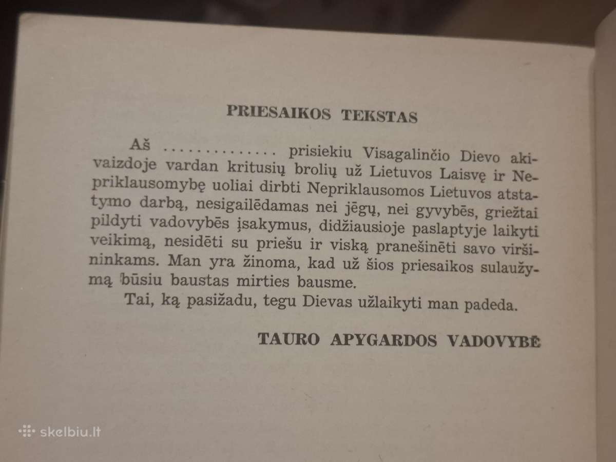 Partizanai - nuotraukos Nr. 14