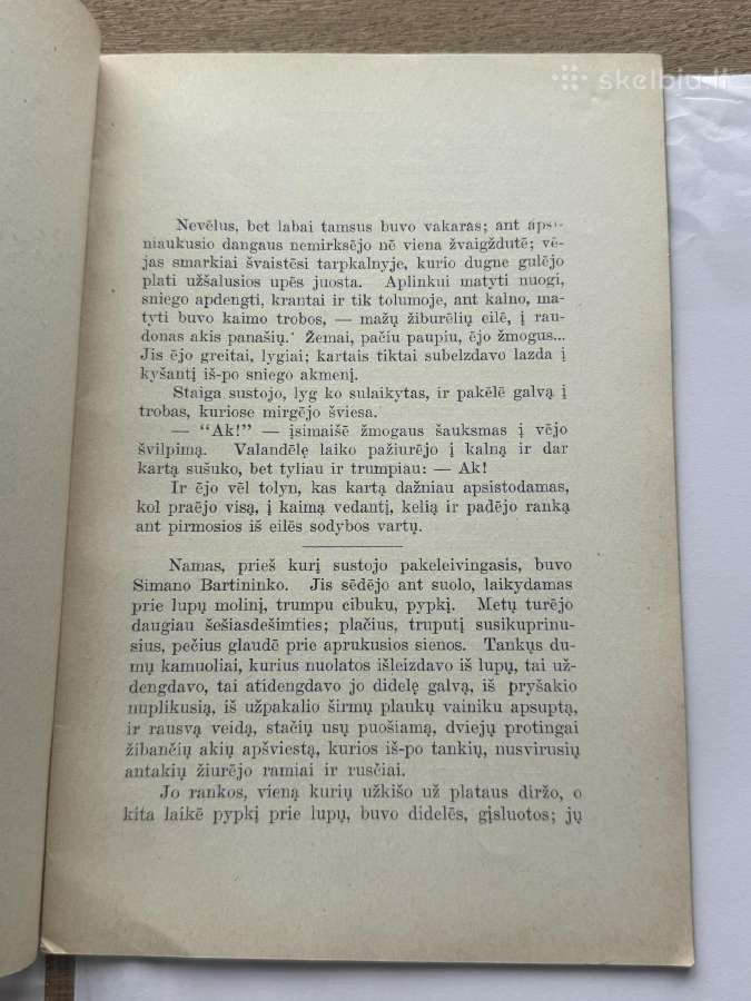 Žiemos Vakaras 1912 m. - nuotraukos Nr. 3