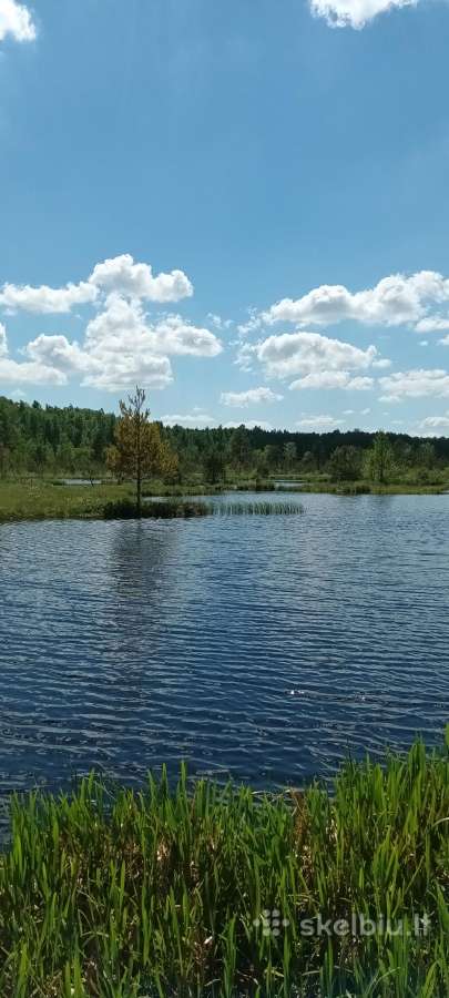 Eksliuzyvinis sklypas - nuotraukos Nr. 6