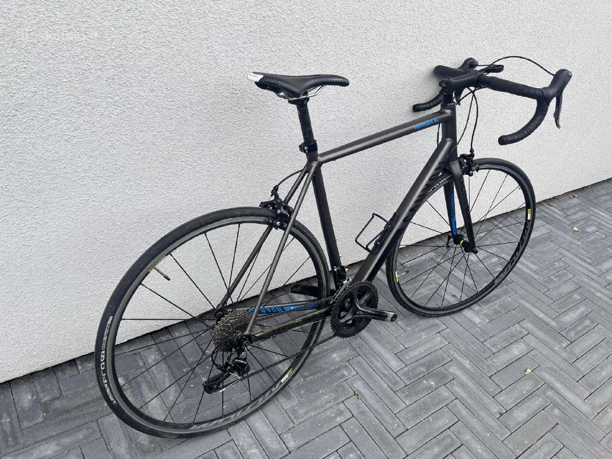 Canyon Endurace AL - nuotraukos Nr. 2
