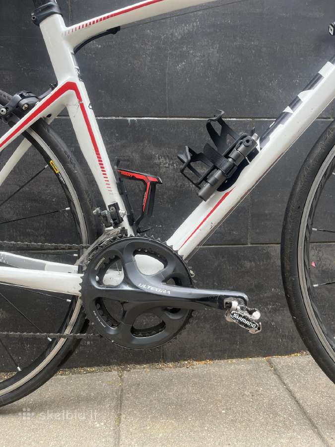Giant Defy Carbon / Ultegra 2x11 / Mavic Ksyrium - nuotraukos Nr. 4