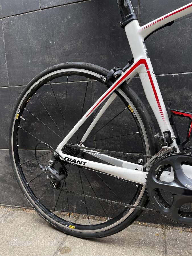 Giant Defy Carbon / Ultegra 2x11 / Mavic Ksyrium - nuotraukos Nr. 5
