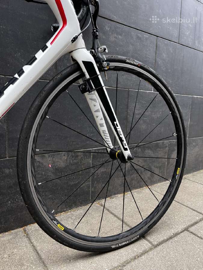 Giant Defy Carbon / Ultegra 2x11 / Mavic Ksyrium - nuotraukos Nr. 6