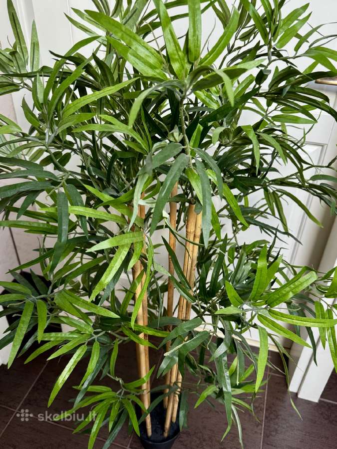 Dirbtinis augalas bambukas 120 cm - nuotraukos Nr. 3