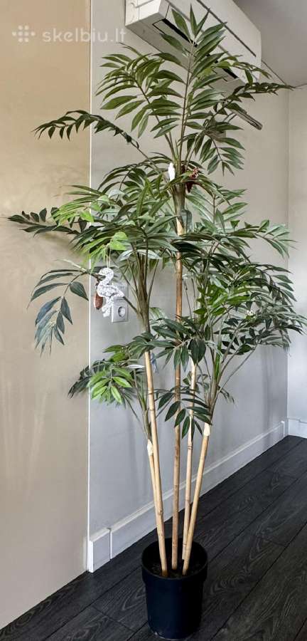 Didelė vešli dirbtinė palmė, 170 cm - nuotraukos Nr. 2