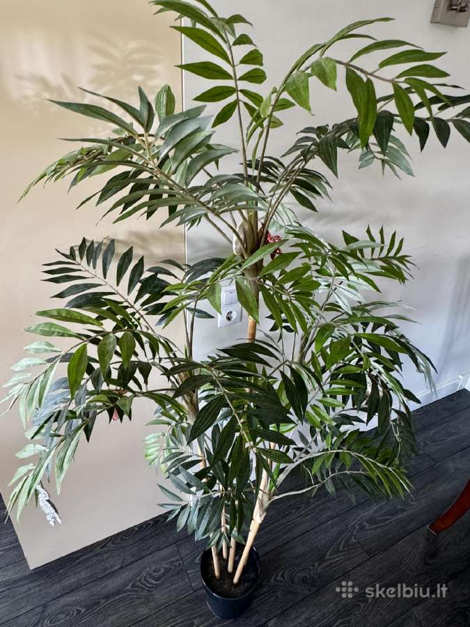 Didelė vešli dirbtinė palmė, 170 cm - nuotraukos Nr. 3