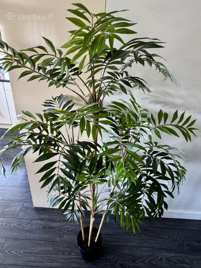 Didelė vešli dirbtinė palmė, 170 cm - nuotraukos Nr. 4
