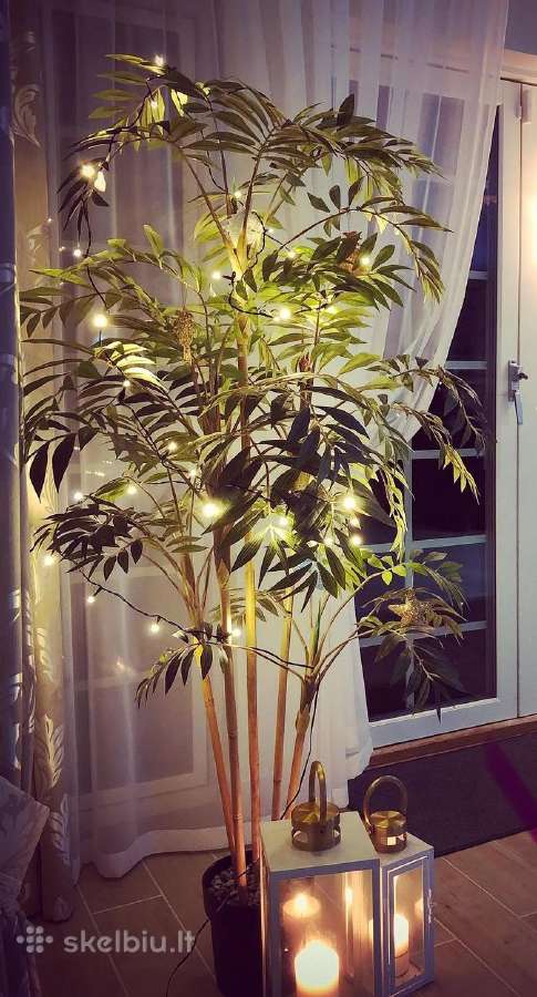 Didelė vešli dirbtinė palmė, 170 cm - nuotraukos Nr. 5