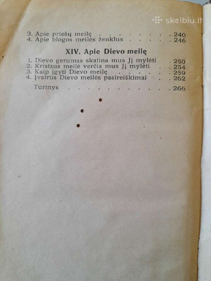 "Meilės Svaigulys" "Kristaus Sužieduotinei" - nuotraukos Nr. 11