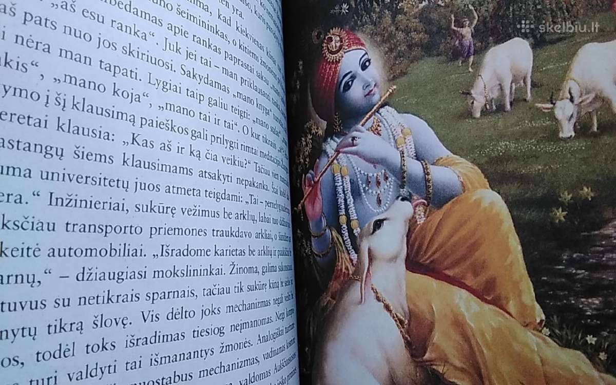 Krišna. Malonumo šaltinis. - nuotraukos Nr. 6