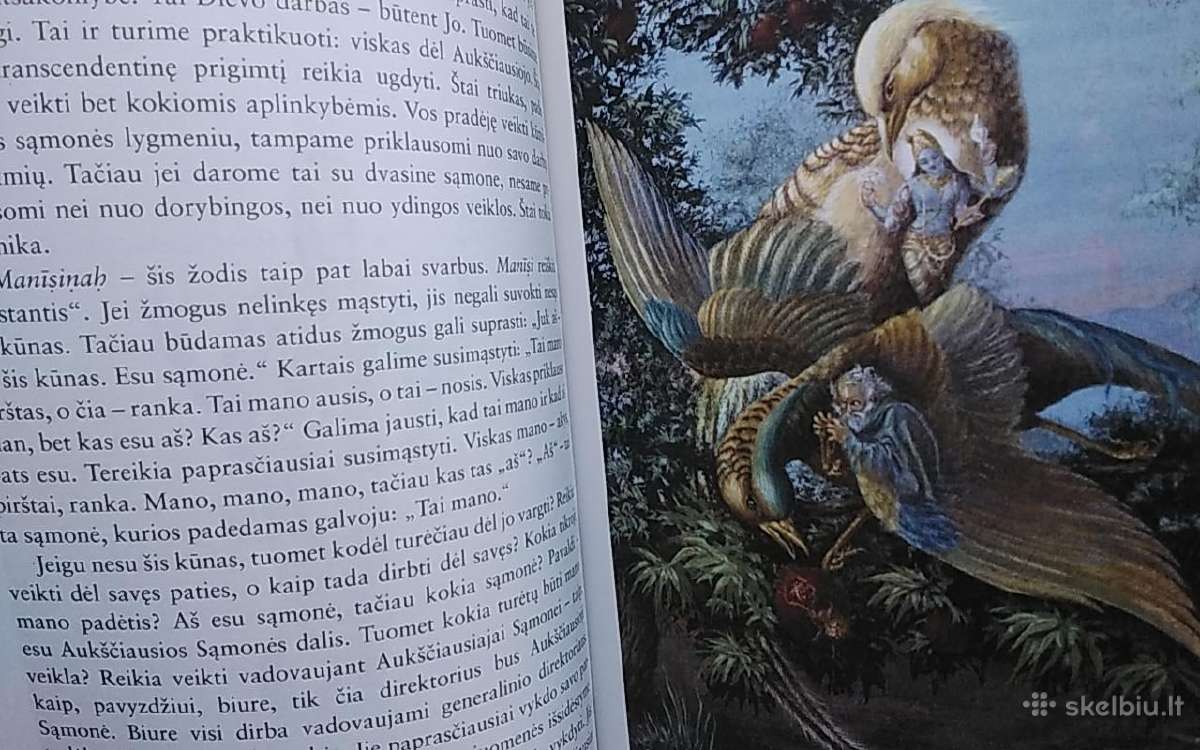 Krišna. Malonumo šaltinis. - nuotraukos Nr. 4