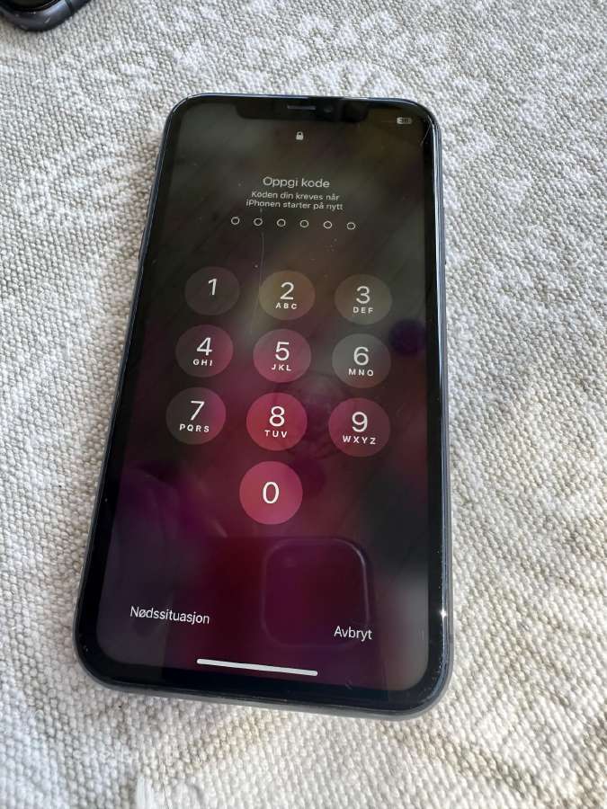Apple 11 - nuotraukos Nr. 2
