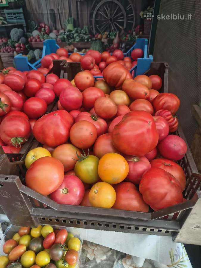 Pomidorai 2€/kg - nuotraukos Nr. 4