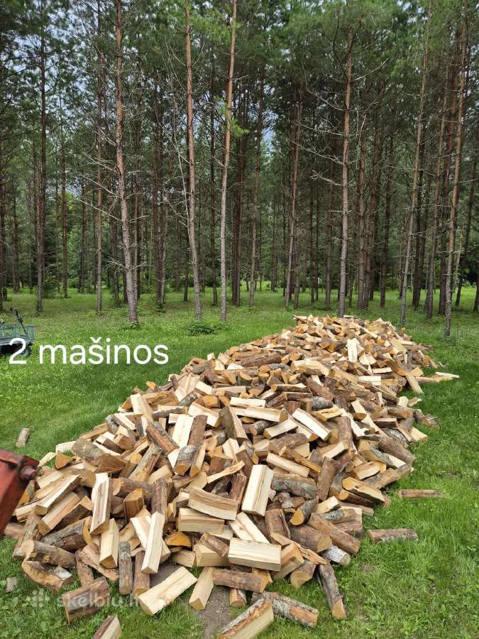 Skaldytos Lapuočiu malkos - nuotraukos Nr. 4