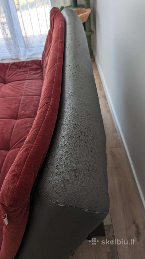 Dovanoju sofa lova - nuotraukos Nr. 3
