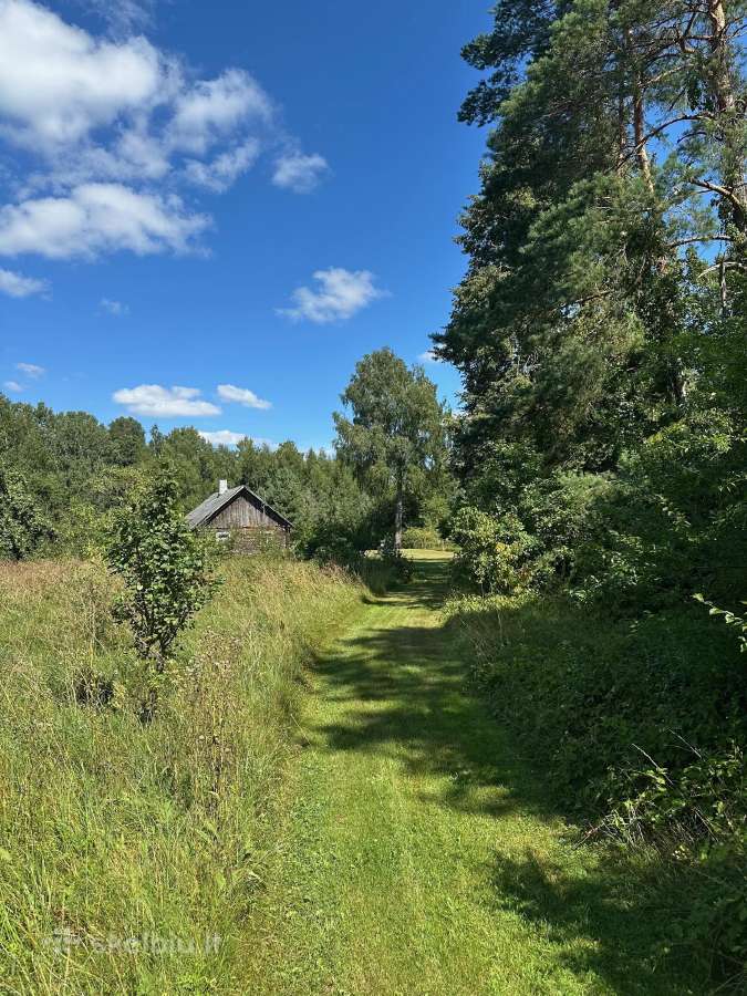 3,23 ha sklypas su namu ir 124 m. Neries pakrante - nuotraukos Nr. 17