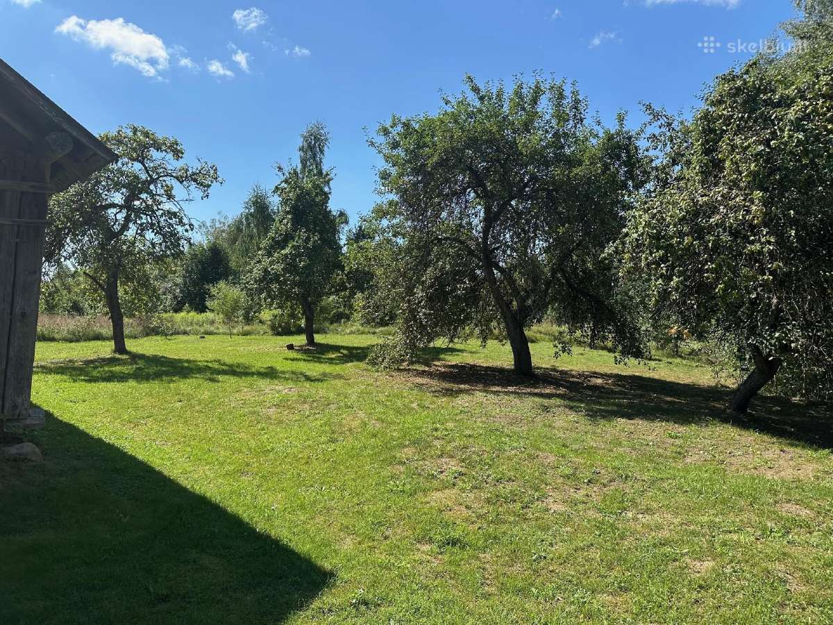 3,23 ha sklypas su namu ir 124 m. Neries pakrante - nuotraukos Nr. 8