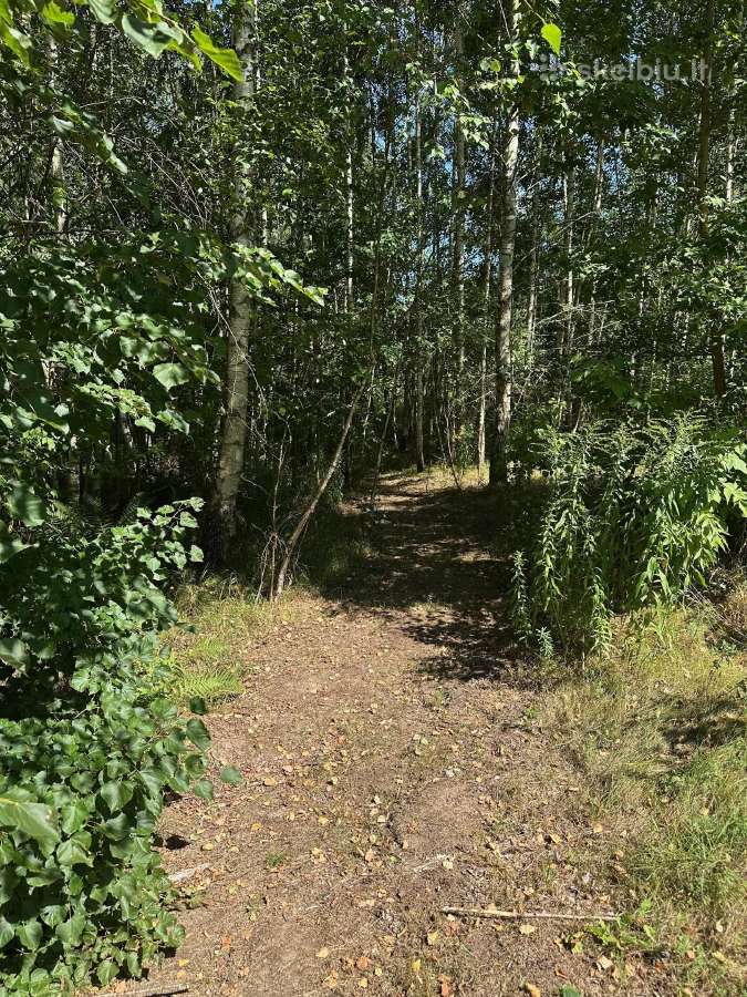 3,23 ha sklypas su namu ir 124 m. Neries pakrante - nuotraukos Nr. 14