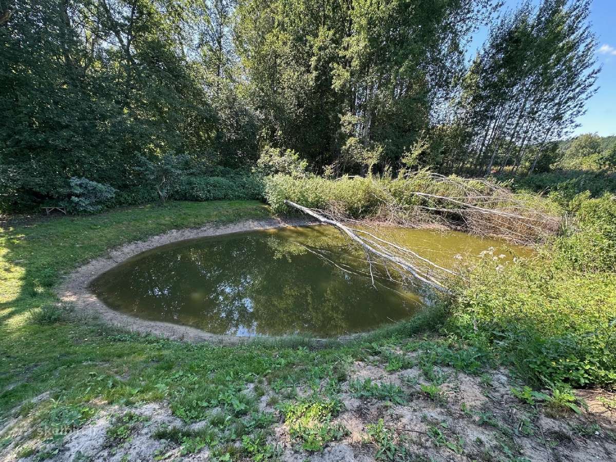 3,23 ha sklypas su namu ir 124 m. Neries pakrante - nuotraukos Nr. 15