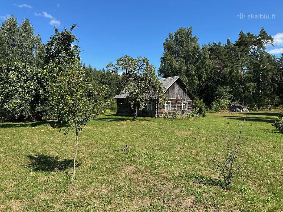 3,23 ha sklypas su namu ir 124 m. Neries pakrante - nuotraukos Nr. 3