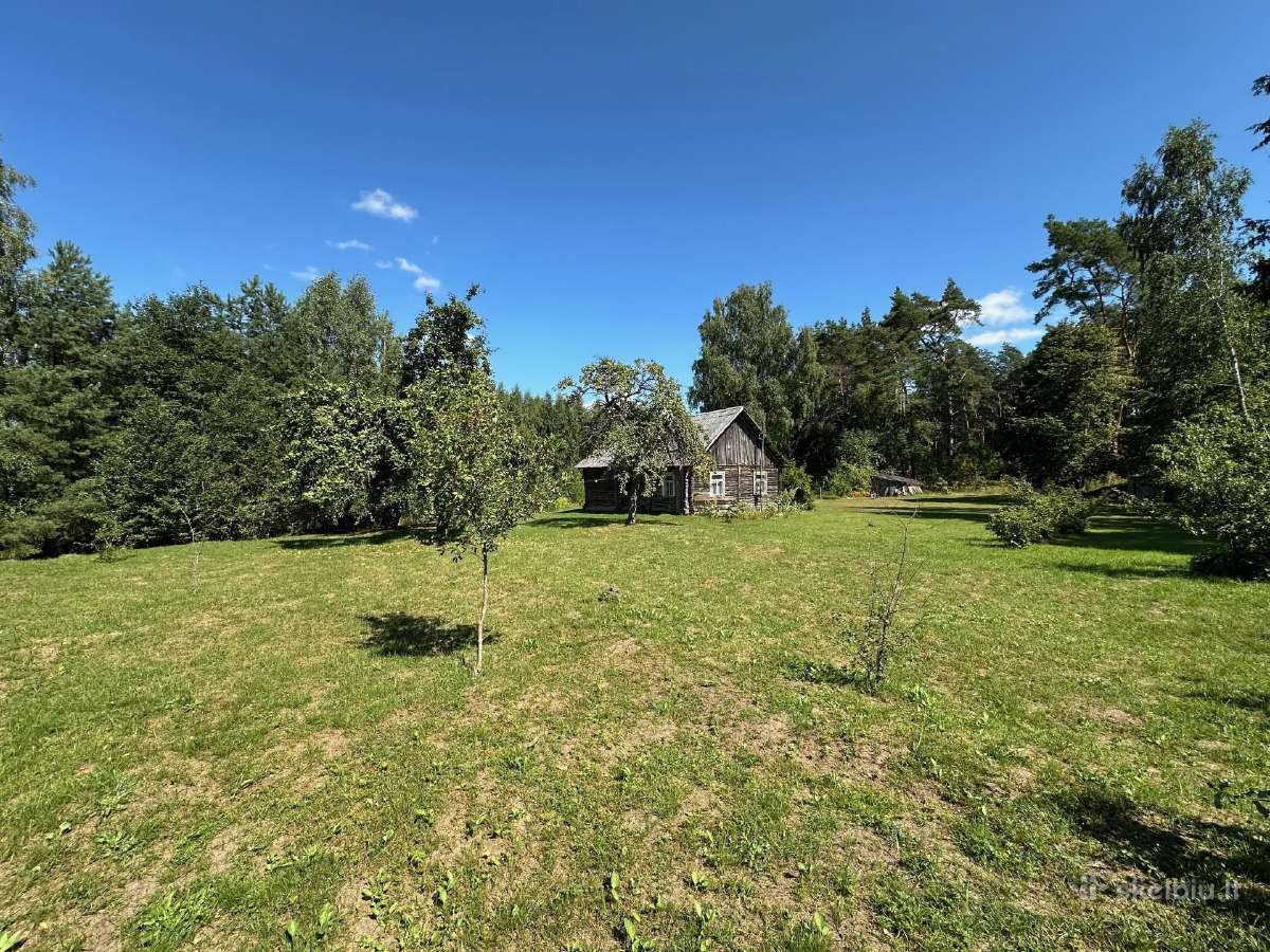 3,23 ha sklypas su namu ir 124 m. Neries pakrante - nuotraukos Nr. 13